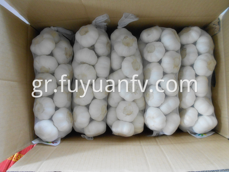 1kg 10bags white garlic